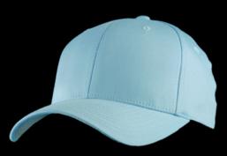 Master Dis -  Flexfit 10014  cap Sky Blue