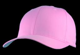 Master Dis. - Flexfit 10014 cap Pink